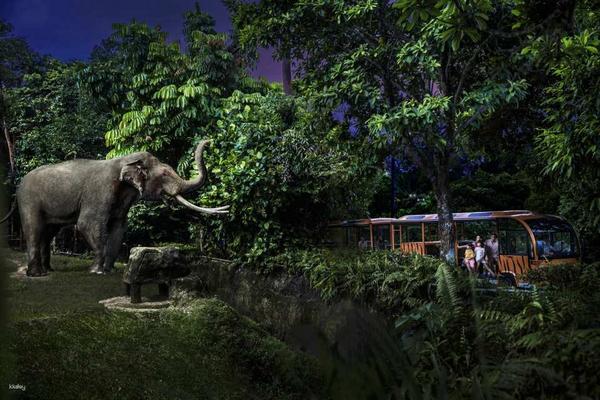 【新加坡】夜間野生動物園門票｜新加坡萬態野生動物世界