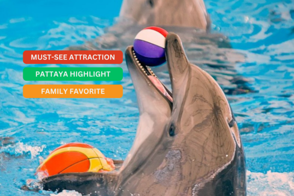 【泰國】芭達雅海豚館 | 門票