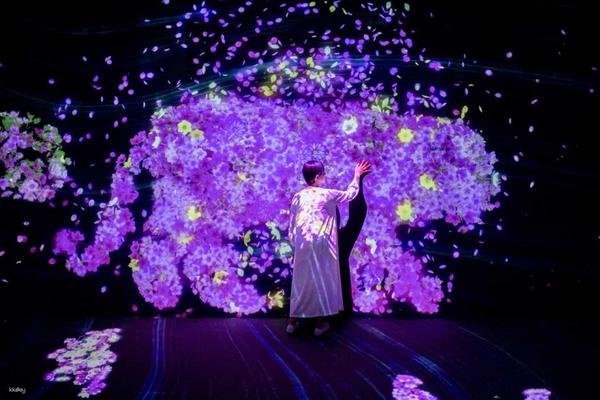 【日本】福岡｜teamLab Forest 福岡入場門票 — SBI 證券