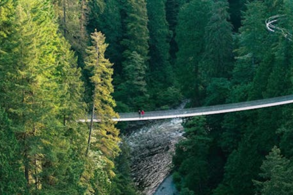 【加拿大】溫哥華｜卡皮拉諾吊橋公園門票