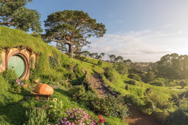 【紐西蘭】 霍比屯一日遊（含自助午餐）| 奧克蘭出發