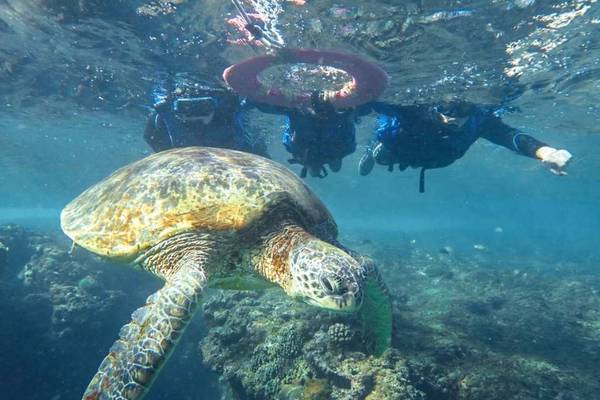 【小琉球】浮潛體驗｜陽光浮潛｜贈活動照