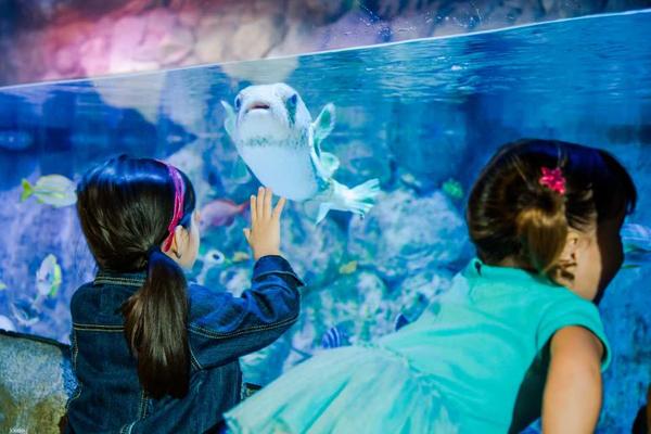 【美國】紐澤西｜樂高探索中心、海洋生物水族館 ｜套票