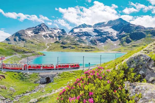 【瑞士】半價卡 Swiss Half Fare Card