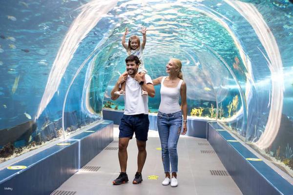 【菲律賓】宿霧海洋公園｜門票