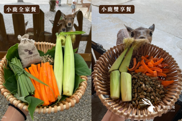 【墾丁】鹿境梅花鹿生態園區｜門票