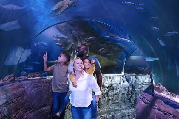 【英國】倫敦｜倫敦水族館