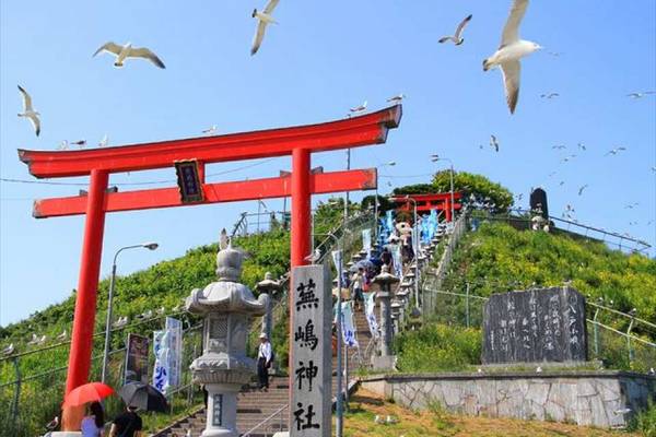【日本】青森｜客製化包車一日遊｜9人座車
