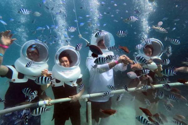 【美國】關島 | 比基尼島俱樂部水上運動體驗｜含飯店接駁