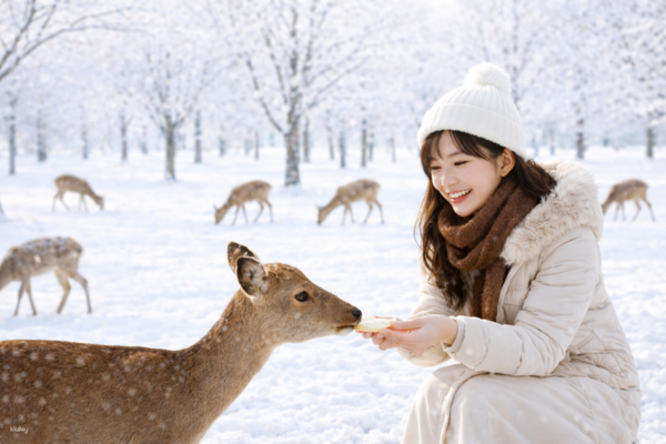 【日本】１人成行☄關西｜京都、奈良一日遊｜嵐山竹林、奈良公園、伏見稻荷大社、千本鳥居｜大阪／京都出發