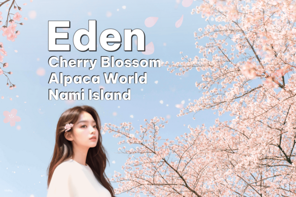 【韓國】首爾近郊賞櫻一日遊 | 伊甸園櫻花路、 南怡島、羊駝世界、江村鐵道自行車｜首爾出發