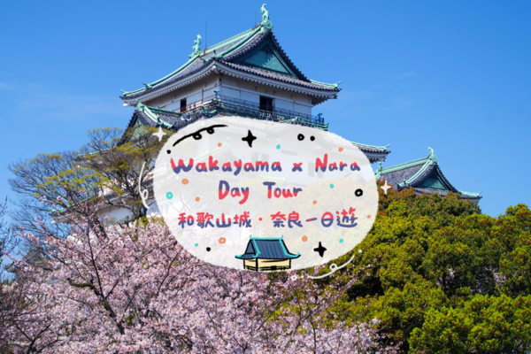 【日本】和歌山、奈良一日遊｜和歌山城、東大寺、奈良公園、黑潮市場｜大阪出發