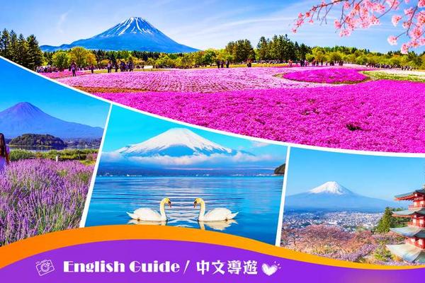 【日本】東京｜富士山一日遊｜新倉山淺間公園or富士山五合目、河口湖季大石公園、富士芝櫻祭、楓葉迴廊、山中湖泡溫泉or坐遊船｜東京出發