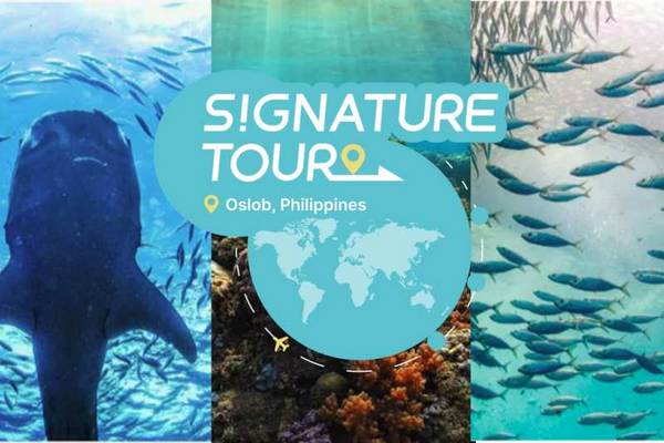 【菲律賓】１人成行☄宿霧一日遊｜奧斯陸鯨鯊浮潛、圖馬婁瀑布、墨寶佩斯卡多爾跳島