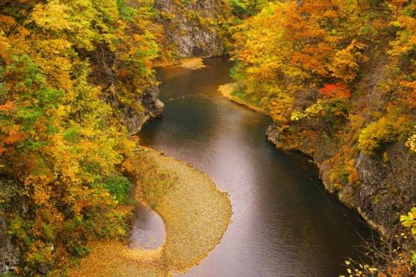 【日本】北海道賞楓｜定山溪紅葉＆豐平峽電氣巴士＆余市NITORI觀光果園採果＆田中酒造 亀甲蔵清酒試飲＆小樽運河｜札幌出發
