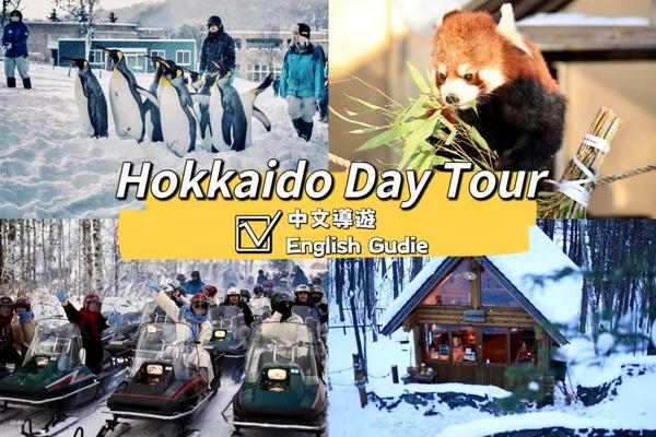 【日本】北海道｜旭川動物園一日遊｜企鵝散步＆四季彩之丘（可選雪地摩托車)+森林精靈露台+Ken & Marry｜札幌出發