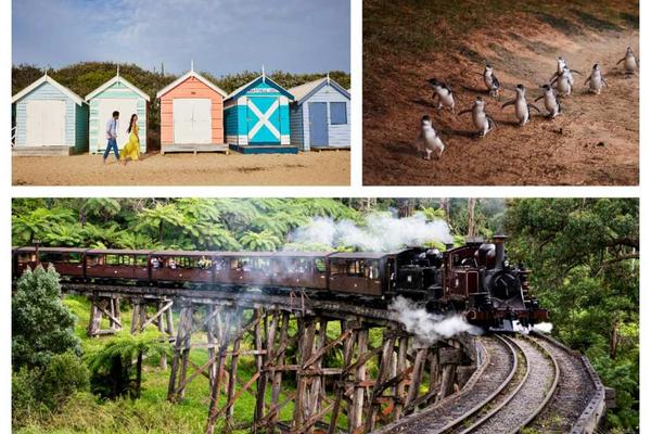 【澳洲】墨爾本一日遊 | 布萊頓彩虹小屋＆普芬比利蒸汽火車＆企鵝歸巢