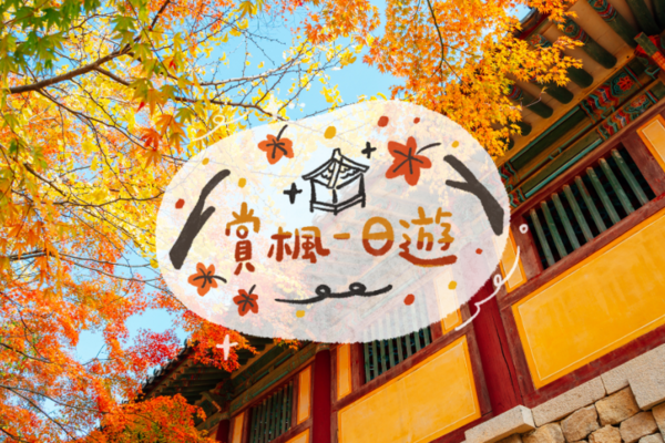 【韓國】秋季賞楓一日遊｜慶州佛國寺、皇理團路 ｜釜山出發
