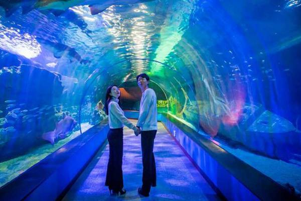 【韓國】 釜山水族館｜門票