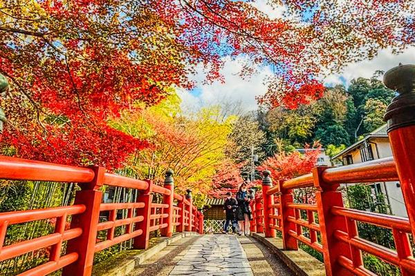 【日本】東京賞楓一日遊｜熱海梅園、虹之鄉、修善寺自然公園、伊豆溫泉街｜東京出發