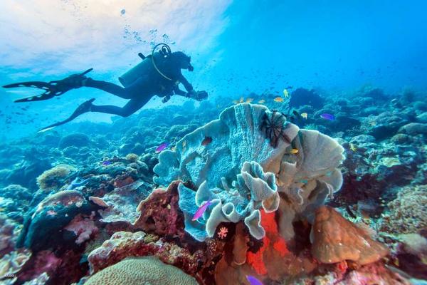 【菲律賓】墨寶包團跳島一日遊｜可選溪降活動｜宿霧出發