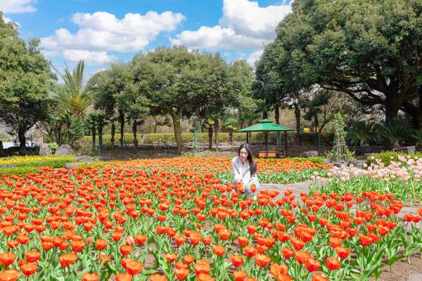 【韓國】濟州｜Maze Land 迷宮主題樂園｜門票