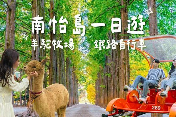 【韓國】江原道一日遊｜羊駝(草泥馬)牧場、 南怡島、晨靜樹木園、三岳山纜車、海棠鳥園、小法國村、義大利村、鐵路自行車、塗鴉秀｜首爾出發