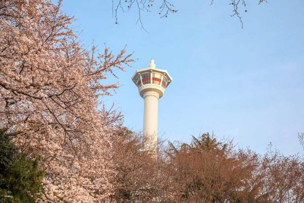 【韓國】釜山塔展望台｜門票