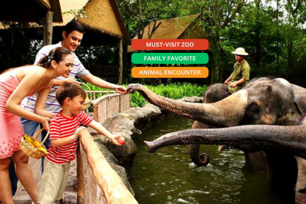 【泰國】芭達雅綠山國家動物園｜門票