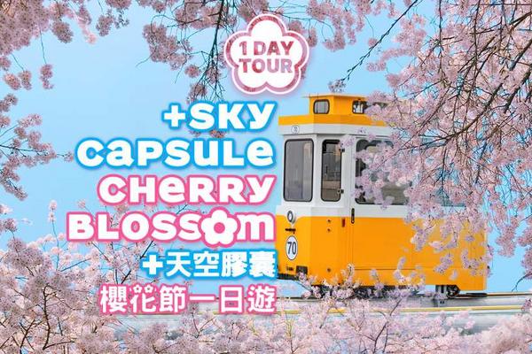 【韓國】 2026 櫻花季｜Blueline Park天空膠囊 & 隨機追櫻 + 春花一日遊｜釜山出發