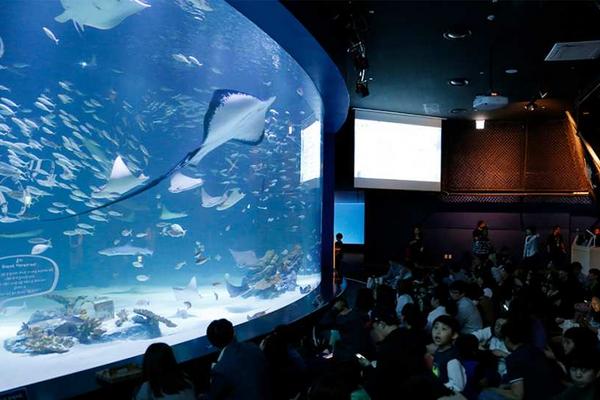 【韓國】大邱愛來水族館｜入場門票
