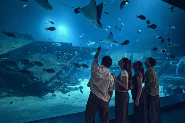 【新加坡】海洋生態館｜門票