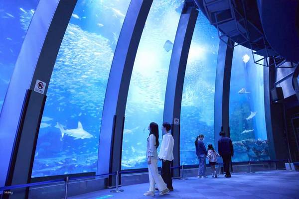 【日本】橫濱｜八景島海島樂園｜4大水族館門票遊樂設施入場券