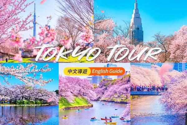 【日本】東京｜賞櫻一日遊｜新宿御苑、千鳥之淵、上野恩賜公園、隅田公園、目黑川 ｜東京出發