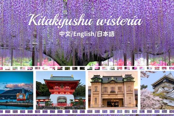 【日本】九州｜福岡紫藤花一日遊｜河內藤園、小倉城、門司港、赤間神宮｜福岡出發
