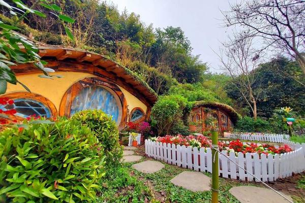 【苗栗】哈比丘茶樹森林｜門票