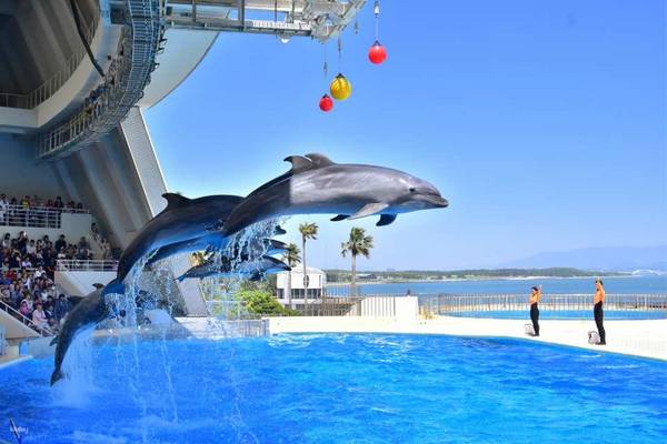 【日本】九州｜福岡海洋世界海之中道  MARINE WORLD｜門票
