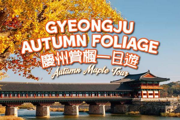 【韓國】慶尚北道賞楓一日遊｜慶州普門觀光園區、慶州歷史遺址｜釜山出發