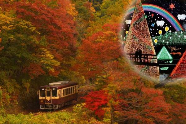 【日本】東京｜賞楓一日遊｜渡良瀬溪谷鐵道、高津戶峽、足利花卉公園燈光秀一日遊｜東京市區出發