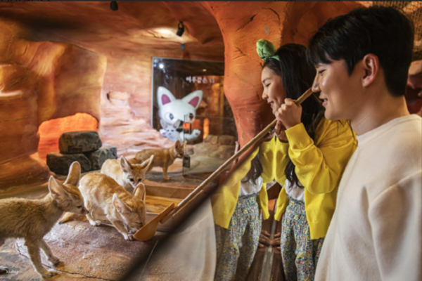 【韓國】首爾｜室內動物園 | 門票｜永登浦店