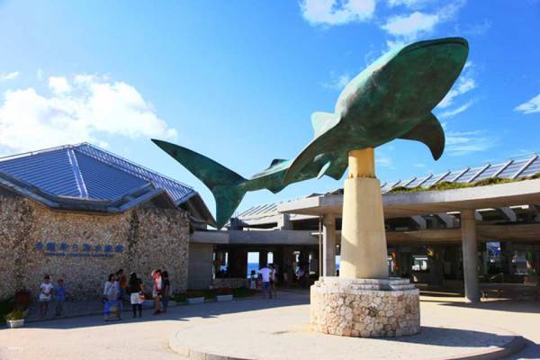 【日本】沖繩北部精選一日遊｜美麗海水族館、古宇利島、萬座毛｜中文導遊