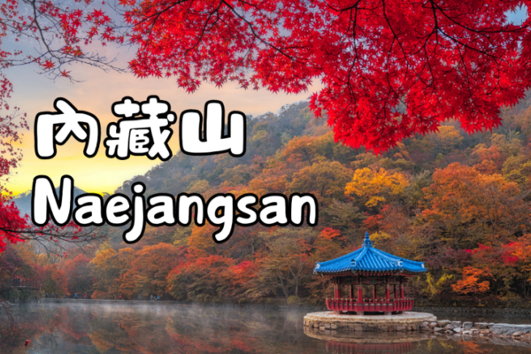 【韓國】賞楓限定．內藏山國立公園｜首爾/釜山出發