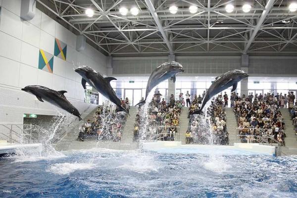 【日本】九州｜鹿兒島水族館｜門票