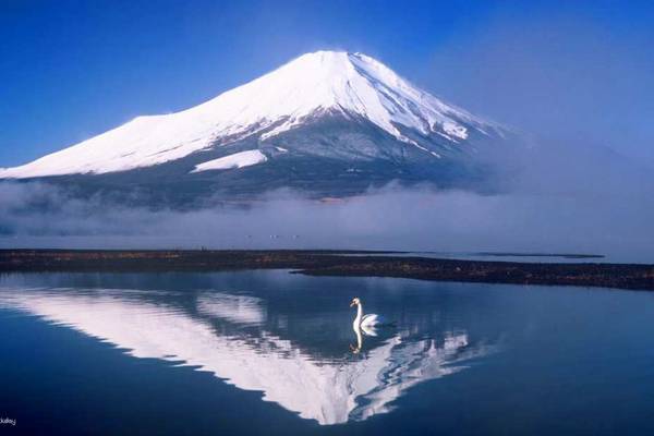 【日本】東京｜山中湖河馬巴士一日遊｜山中湖、忍野八海、河口湖大石公園｜東京出發
