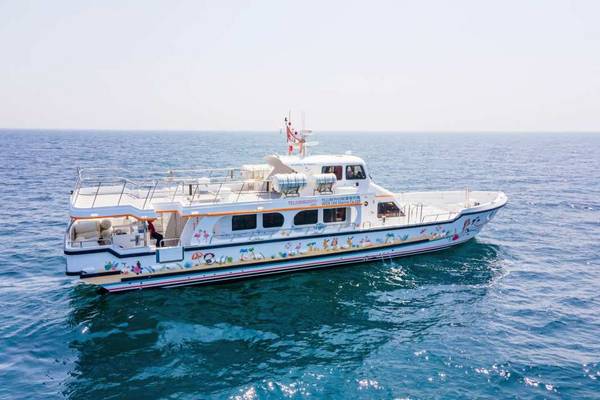 【馬祖】大坵來回船票｜遠眺北竿芹壁、梅花鹿互動體驗