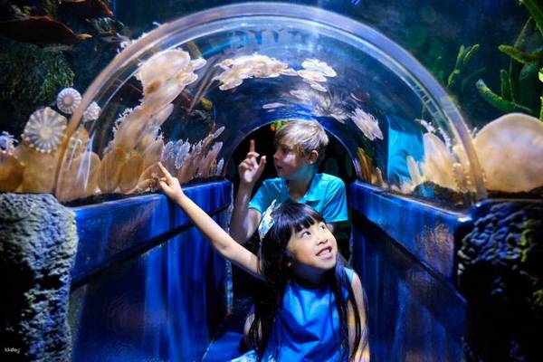【澳洲】墨爾本｜水族館門票