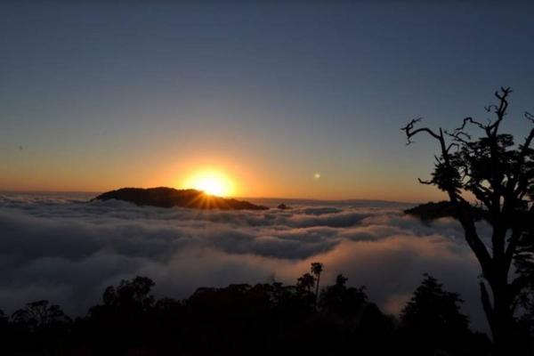 【台中】大雪山國家森林遊樂區