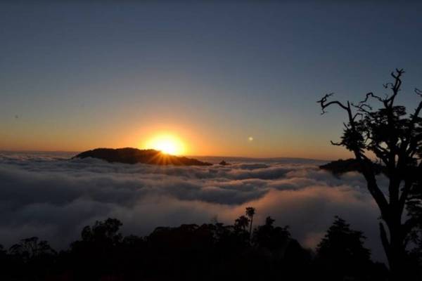 【台中】大雪山國家森林遊樂區