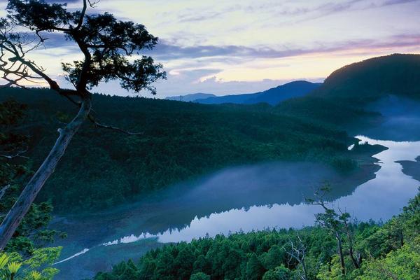 【宜蘭】太平山國家森林遊樂區