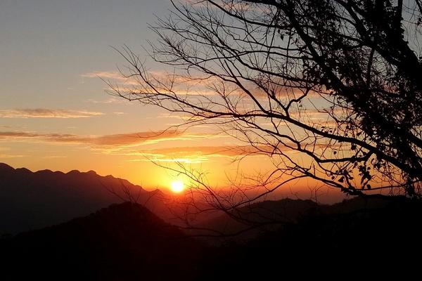 【桃園】東眼山國家森林遊樂區